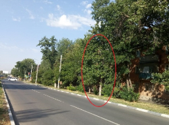 Больше месяца ждут ремонта нового фонаря жители улицы Чернокозова в Шахтах