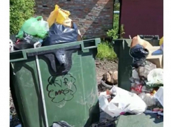 Переполненные мусорные баки на улице Разина в Шахтах не вывозят почти неделю