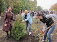 Жителей Шахт призывают посадить деревья и убраться на улицах города