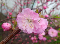 Может и солнце выглянет: будет тепло, но преимущественно пасмурно