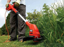 Шахты попал в список самых «заросших» городов области