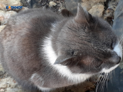 С утра в Шахтах выглянет солнышко, а затем небо затянут тучи
