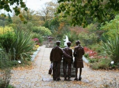 В Шахтах появится древо познания добра и зла