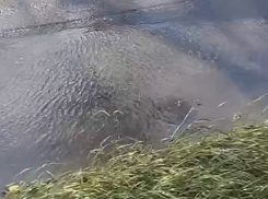 Жители Новоазовки находятся без воды пятые сутки 