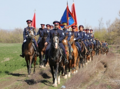 По улицам Шахт продут сто пятьдесят лошадей