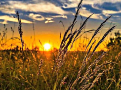 «Август повесил лето на гвоздь»: погода в Шахтах и немного астрономии 