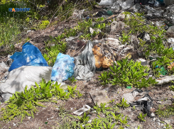 Хорошие привычки спасут шахтинцев от катастрофы: «Чистый город» советует