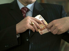 Депутаты Законодательного собрания Ростовской области обнародовали свои доходы за 2015