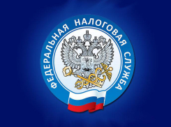 На онлайн-семинар приглашают шахтинцев сотрудники Межрайонной ИФНС 