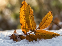 Немного солнца и большие морозы ожидают  шахтинцев во вторник