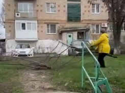 «Гадюшня там» — с такими словами шахтинка вырубила деревья у многоквартирного дома