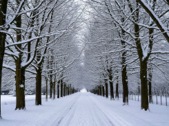 В феврале в Ростовскую область придут морозы, достигающие -31 градуса