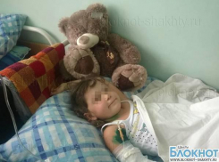 В больницу Ростова-на-Дону из Шахт доставили 5-летнюю Дашу К., которой на базе отдыха в Мелиховке медведь откусил кисть руки