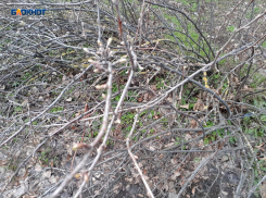 Из-за туч, возможно, проглянет солнышко, но будет довольно прохладно