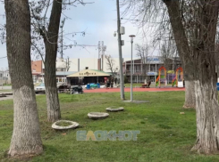 49 миллионов планируют потратить на реконструкцию Александровского парка в Шахтах