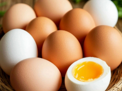 Самые дорогие яйца в Ростовской области оказались в Шахтах