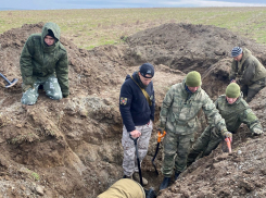 Вахта памяти: поисковики поднимают останки погибших бойцов