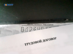 Сервис «Памятка» поможет шахтинцам в решении трудовых споров