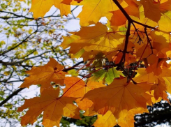 Проведите этот день с близкими: лунный календарь для шахтинцев