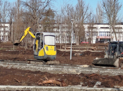 Продолжаются работы по благоустройству Александровского парка 