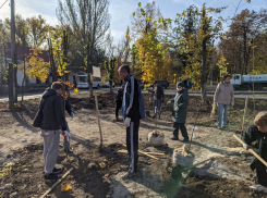 Тридцать тысяч деревьев и более 10 тысяч кустарников высажено в регионе в День древонасаждения