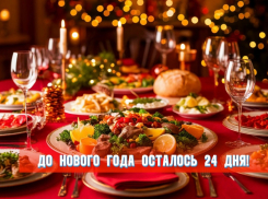 До Нового года осталось 24 дня 