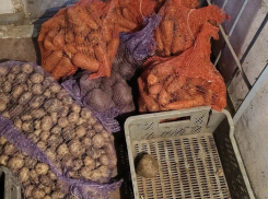 Поймали 22-летнего шахтинца, обчистившего чужой погреб