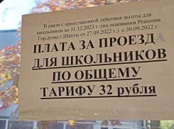 По-взрослому: в Шахтах подорожал проезд для школьников