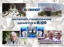 Заявление кота, кража газет и пародия на Медведева оживили предвыборную борьбу конца лета