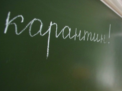 Из-за пневмонии в Шахтах на карантин закрыли школу