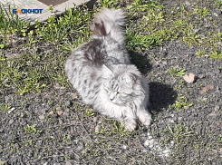 Тепло и облачно будет в Шахтах в субботу