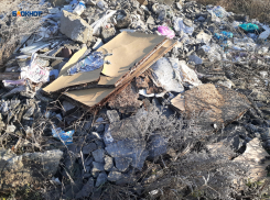 Когда уберут свалку, по Земледельческой нет тротуаров: какие еще вопросы волнуют горожан