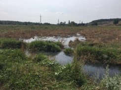 Шахтинский водоканал оштрафован за загрязнение реки Атюхта