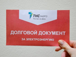 Новошахтинцы шлют письма в Шахтинский «ТНС Энерго» с отказом платить за электроэнергию