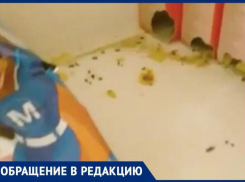 В соседнем с Шахтами Новошахтинске мыши атаковали гипермаркет «Магнит»