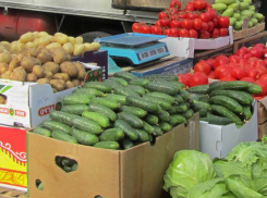 Ярмарка пройдет в Шахтах перед ШАДИ