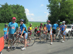 412 шахтинцев приняли участие во Всероссийском олимпийском дне