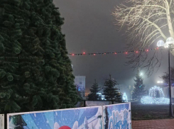 В Каменоломнях установили новогоднюю ель