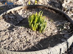 В Шахтах немного потеплеет, но будет облачно