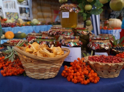 Сезонная ярмарка в Шахтах пройдет на новом месте