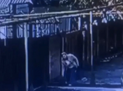 Женщина украла саженец ели у частного дома в Шахтах