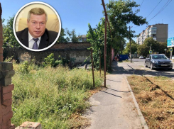 «Вы что, живете там, где нет амброзии? Или она на вас не действует?» Губернатор пожурил Шахты за плохую работу по борьбе с сорняком