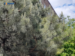 В Шахтах будет пасмурно, солнце выглянет из-за облаков лишь к вечеру