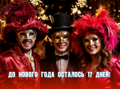До Нового года осталось 17 дней