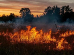 В поселке Артем в Шахтах горела трава на большой площади