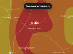 Аллергиков предупредили о резком скачке активности пыльцы 17 мая в Шахтах