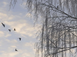 Павлов день: погода в Шахтах и приметы дня