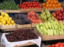 Поставка фруктов и овощей из Украины запрещена Роспотребнадзором