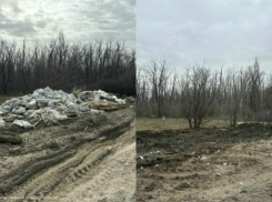 Наказали шахтинца, сбросившего строительный мусор в поселке Мирный