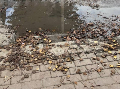 Глубокая яма в центре Шахт создаёт неудобства для пешеходов